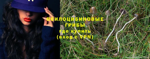 прущий лед Шали