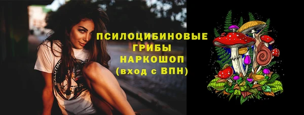ПСИЛОЦИБИНОВЫЕ ГРИБЫ Михайловск