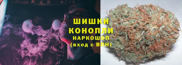 ПСИЛОЦИБИНОВЫЕ ГРИБЫ Михайловск