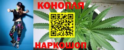 мяу мяу мука Кандалакша