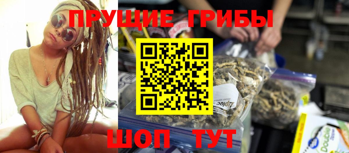 Псилоцибиновые грибы Cubensis Рузаевка