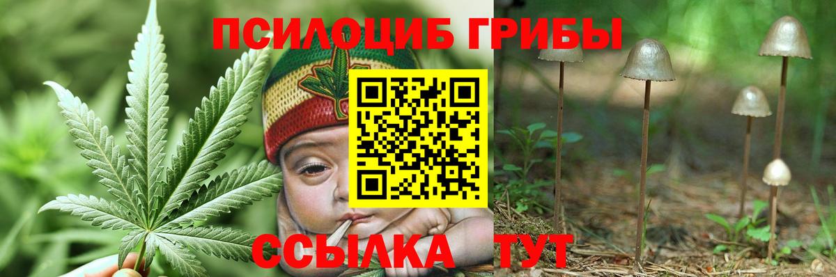 Псилоцибиновые грибы мухоморы Рузаевка